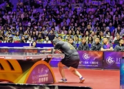 开云体育中国-体育风云再起，赛场上的惊喜和感动的简单介绍