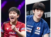 开云体育登录-法国队翻盘瑞典队，张本智和惊艳四座的简单介绍