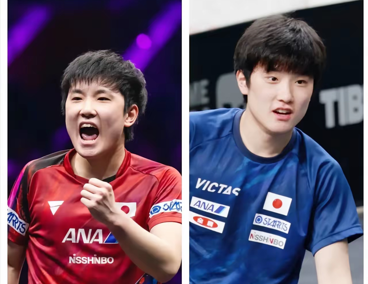 法国队翻盘瑞典队，张本智和惊艳四座的简单介绍