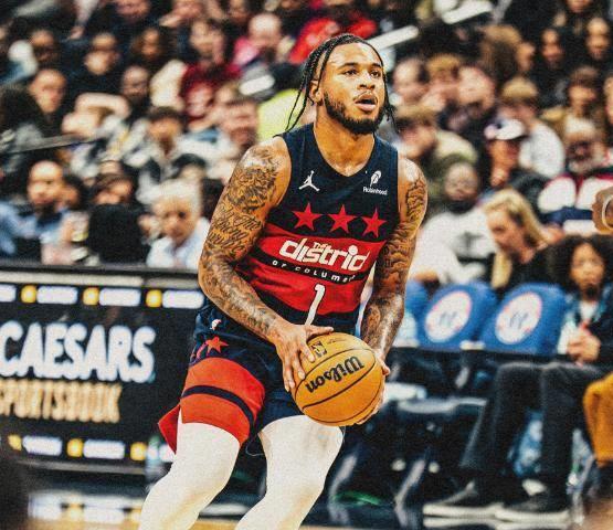 奇才血洗热火B队，麦科勒姆高光表现的简单介绍