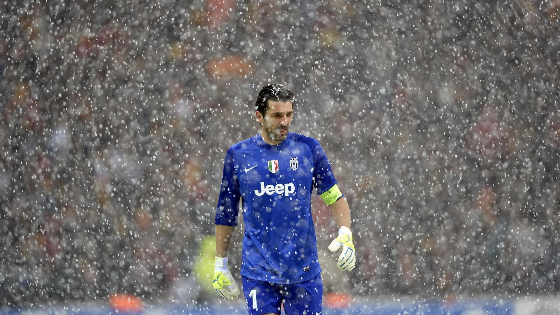 福克斯撕裂新奥尔良之夜，当森林狼的利爪遇上掌控时间的狐狸