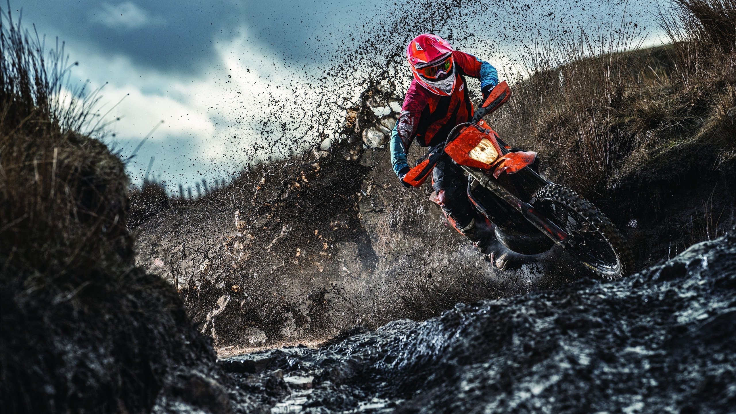 赛道之光，格纳布里在F1街道赛之夜的冠军级表演